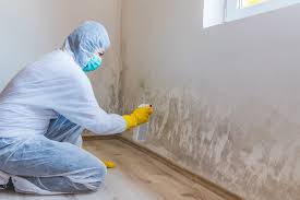 Best Real Estate Mold Inspection  in Granite Falls, MN