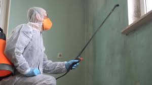 Why You Should Choose Our Mold Remediation Services in Granite Falls, MN