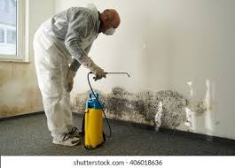 Best Water Damage & Mold Remediation  in Granite Falls, MN